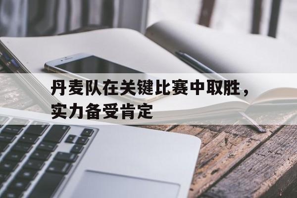 丹麦队在关键比赛中取胜，实力备受肯定的简单介绍
